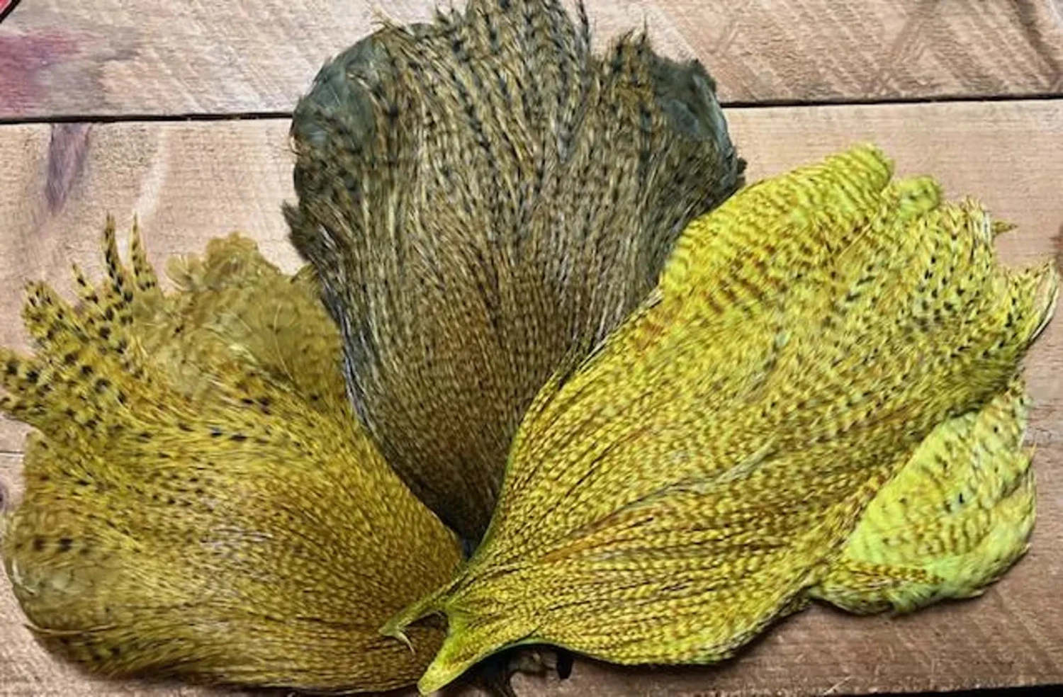 Mike’s Goby And Sculpin Rooster Saddles: Custom Dyed Metz Magnum Barred Ginger Saddles 3 Mike’s Goby And Sculpin Rooster Saddles: Custom Dyed Metz Magnum Barred Ginger Saddles