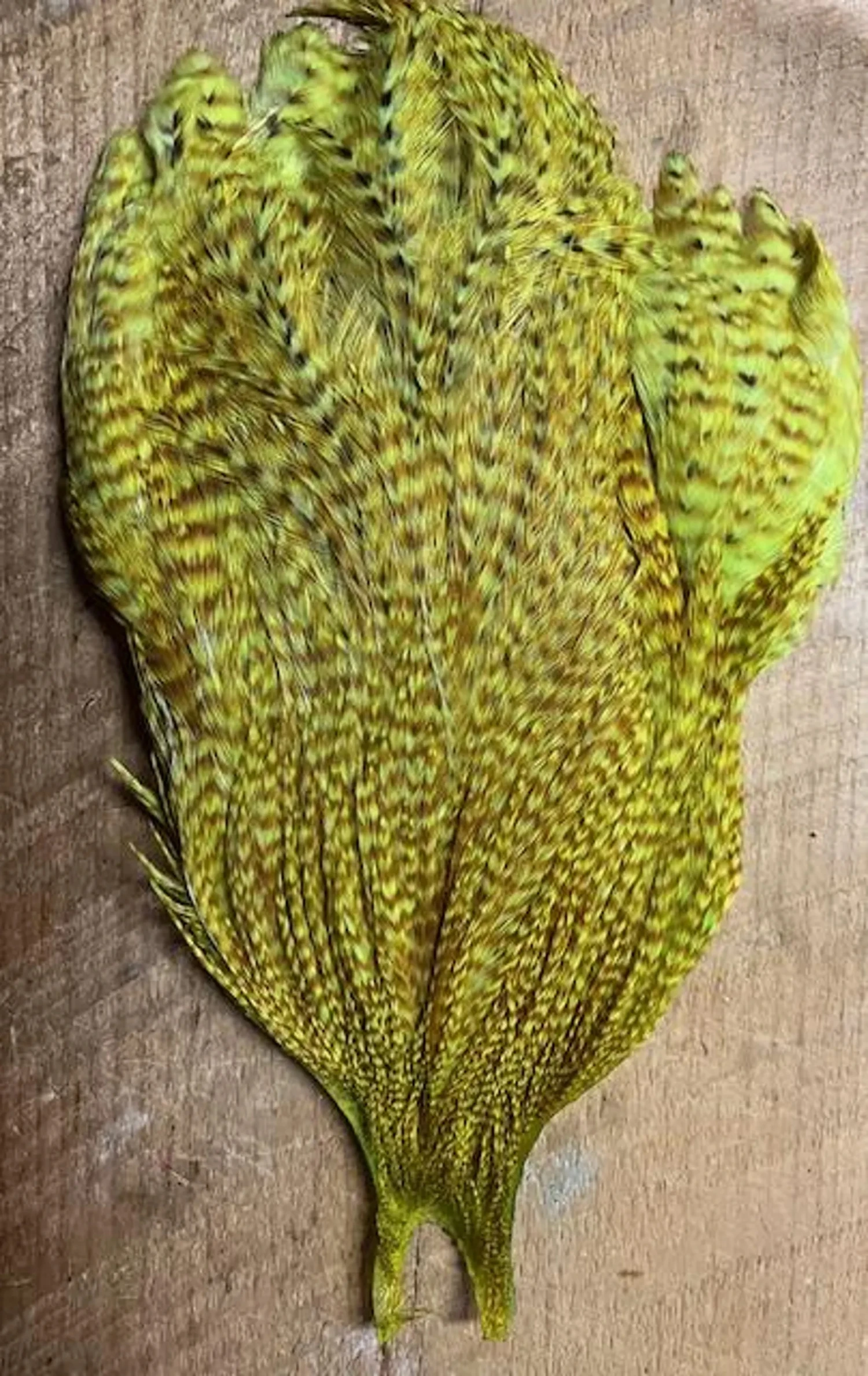 Mike’s Goby And Sculpin Rooster Saddles: Custom Dyed Metz Magnum Barred Ginger Saddles 4 Mike’s Goby And Sculpin Rooster Saddles: Custom Dyed Metz Magnum Barred Ginger Saddles - Image 2