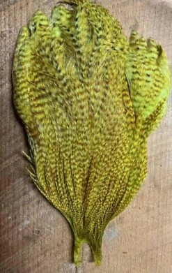 Mike’s Goby And Sculpin Capes: Dyed Over Ginger Variant Metz Magnum Rooster Capes 9 Mike’s Goby And Sculpin Capes: Dyed Over Ginger Variant Metz Magnum Rooster Capes -Fly Fishing Equipment Shop goby2