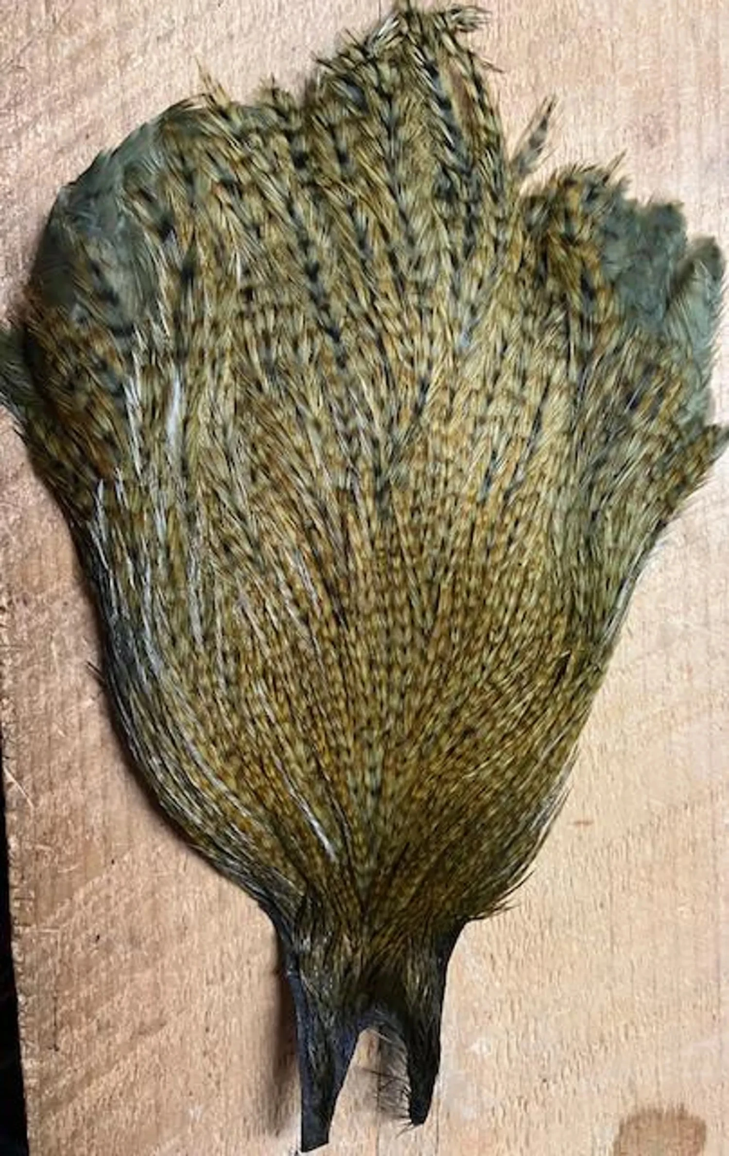 Mike’s Goby And Sculpin Capes: Dyed Over Ginger Variant Metz Magnum Rooster Capes 5 Mike’s Goby And Sculpin Capes: Dyed Over Ginger Variant Metz Magnum Rooster Capes - Image 3