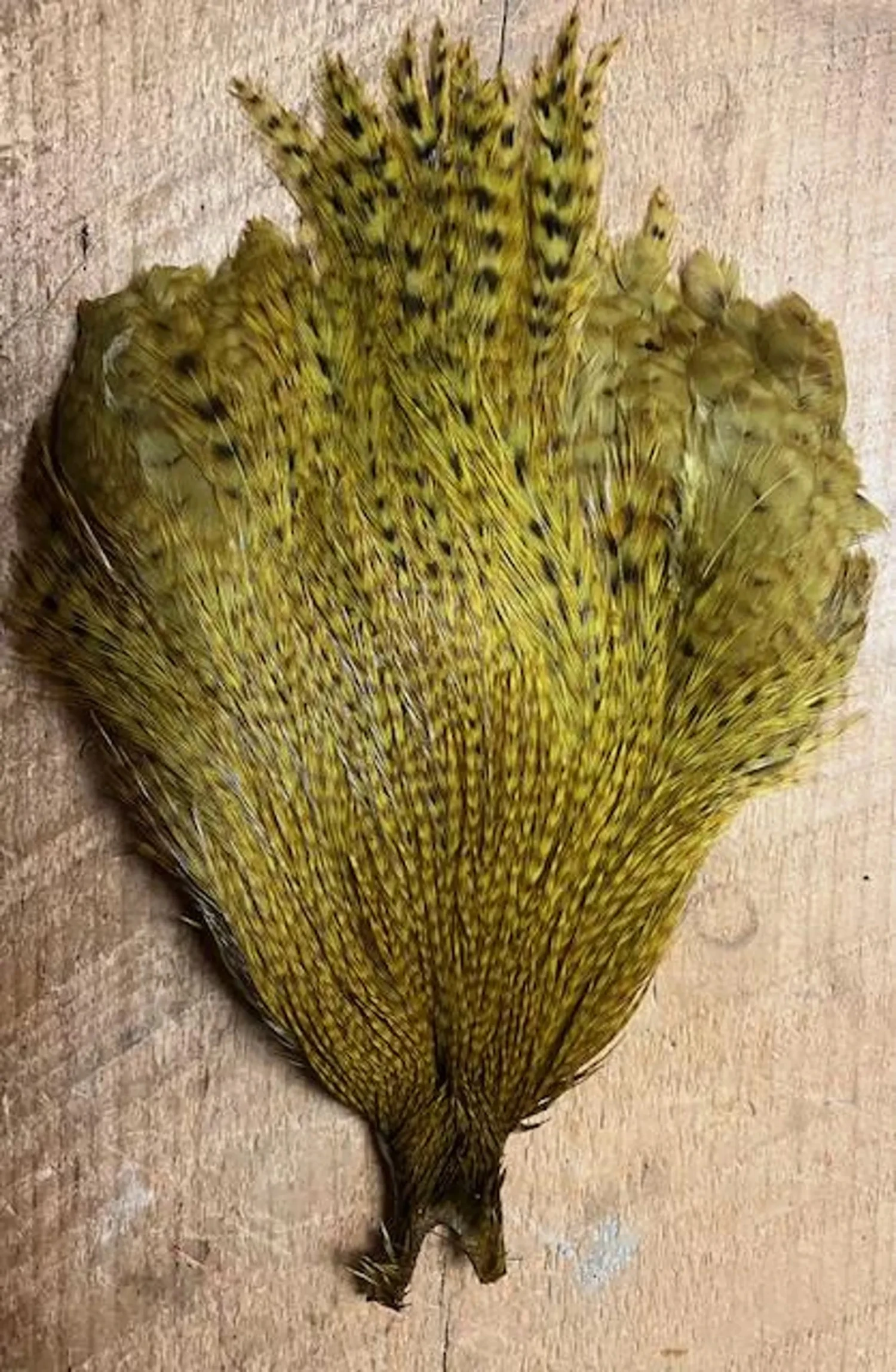 Mike’s Goby And Sculpin Capes: Dyed Over Ginger Variant Metz Magnum Rooster Capes 4 Mike’s Goby And Sculpin Capes: Dyed Over Ginger Variant Metz Magnum Rooster Capes - Image 2