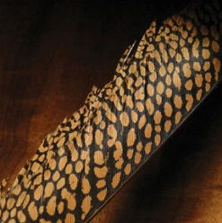 Nature’s Spirit Golden Pheasant Center Tail Sections 7 Nature’s Spirit Golden Pheasant Center Tail Sections -Fly Fishing Equipment Shop gpc