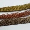Nature’s Spirit Golden Pheasant Center Tail Sections 2 Nature’s Spirit Golden Pheasant Center Tail Sections -Fly Fishing Equipment Shop gpc2