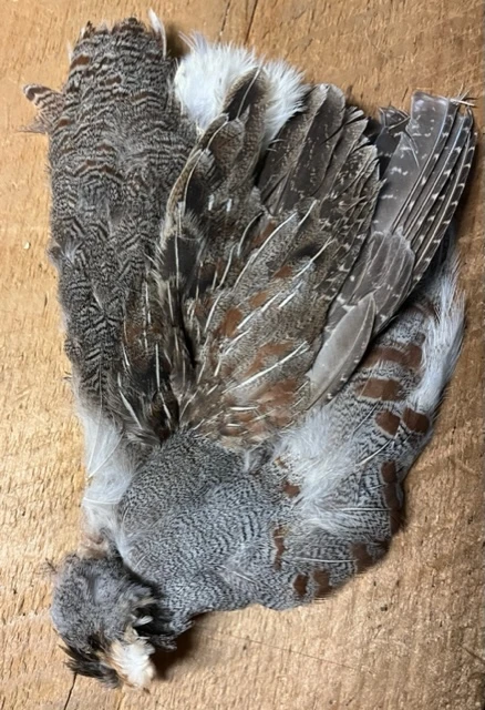 1/2 Grade One Hungarian Partridge Skin 3 1/2 Grade One Hungarian Partridge Skin