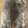 UK Wild Hare Pelt Dried 1 UK Wild Hare Pelt Dried -Fly Fishing Equipment Shop hare1
