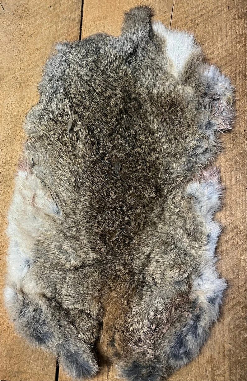UK Wild Hare Pelt Dried 3 UK Wild Hare Pelt Dried