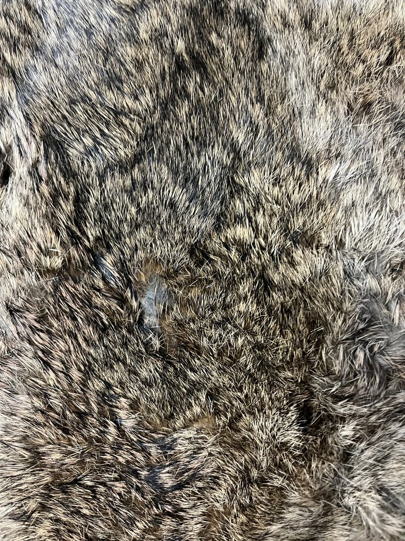 UK Wild Hare Pelt Dried 4 UK Wild Hare Pelt Dried - Image 2