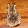 Hareline Hare’s Mask Natural And Dyed 1 Hareline Hare’s Mask Natural And Dyed -Fly Fishing Equipment Shop hm