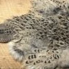 Hen Pheasant Complete Skin 2 Hen Pheasant Complete Skin -Fly Fishing Equipment Shop hp1 1