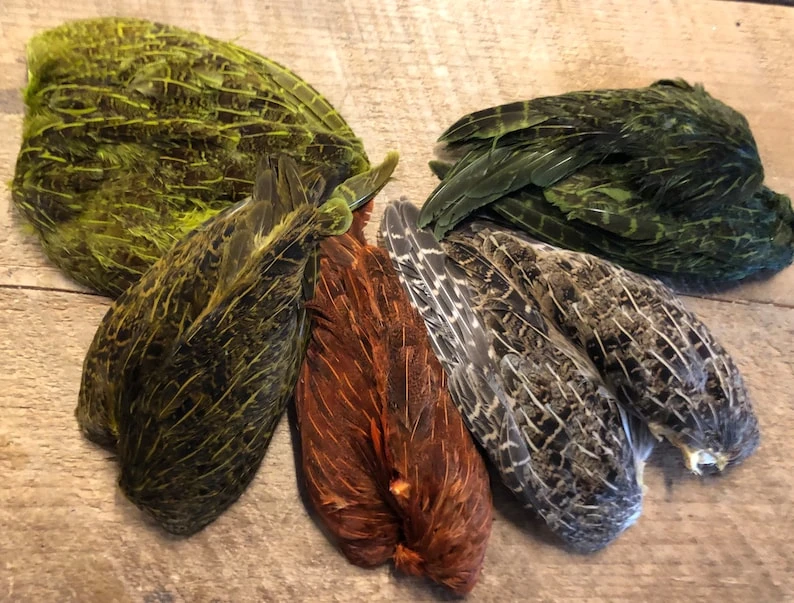 Hungarian Partridge Wing Pairs Natural And Dyed 3 Hungarian Partridge Wing Pairs Natural And Dyed