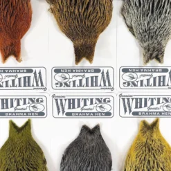 Whiting Farms Brahma Hen Capes