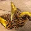 Select Jumbo Golden Pheasant Complete Head 2 Select Jumbo Golden Pheasant Complete Head -Fly Fishing Equipment Shop il 794xN.1887706643 ixry