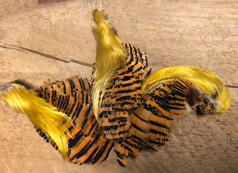 Select Jumbo Golden Pheasant Complete Head 3 Select Jumbo Golden Pheasant Complete Head