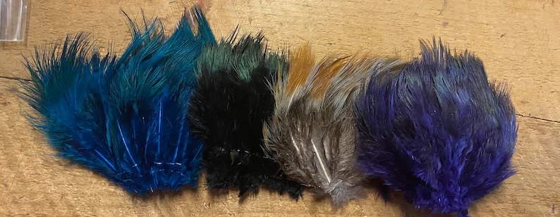 Strung Ringneck Rump Feathers 5 Strung Ringneck Rump Feathers - Image 3