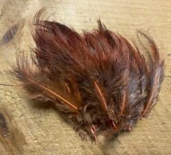 Strung Ringneck Rump Feathers 10 Strung Ringneck Rump Feathers -Fly Fishing Equipment Shop il 794xN.2553967666 nige