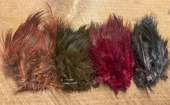 Strung Ringneck Rump Feathers 8 Strung Ringneck Rump Feathers -Fly Fishing Equipment Shop il 794xN.2553967706 ol1l