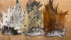 Indian Bugger Rooster Saddle ( Wapsi And Nature’s Spirit ) 8 Indian Bugger Rooster Saddle ( Wapsi And Nature’s Spirit ) -Fly Fishing Equipment Shop il 794xN.2616277135 1yty