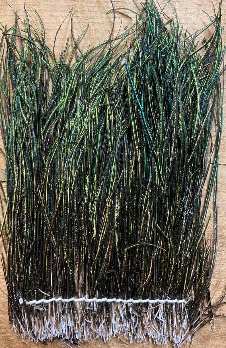 Badger Creek Jumbo ( & Standard ) Strung Peacock Herl 7 Badger Creek Jumbo ( & Standard ) Strung Peacock Herl - Image 5