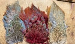 Ringneck Pheasant Saddle Patch 11 Ringneck Pheasant Saddle Patch -Fly Fishing Equipment Shop il 794xN.3133218757 allv