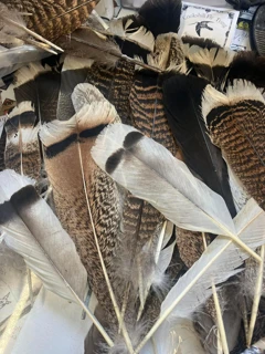 Cookshill Mixed Turkey Nymph Pack