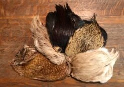 Badger Creek Indian Rooster Cape Assortment