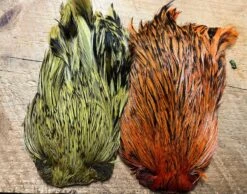 Dyed Indian Rooster Capes 10 Dyed Indian Rooster Capes -Fly Fishing Equipment Shop irc4