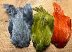 Dyed Indian Rooster Capes 11 Dyed Indian Rooster Capes -Fly Fishing Equipment Shop irc5