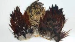 Indian Bugger Rooster Saddle ( Wapsi And Nature’s Spirit ) 9 Indian Bugger Rooster Saddle ( Wapsi And Nature’s Spirit ) -Fly Fishing Equipment Shop irs