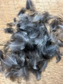 Jackdaw Loose Hackle