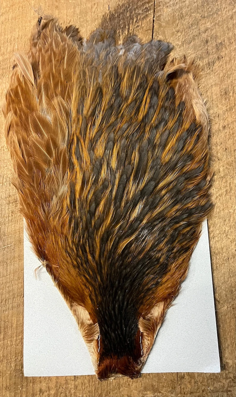 Keough Variant Hen Capes 3 Keough Variant Hen Capes