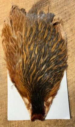 Keough Variant Hen Capes 10 Keough Variant Hen Capes -Fly Fishing Equipment Shop khc2