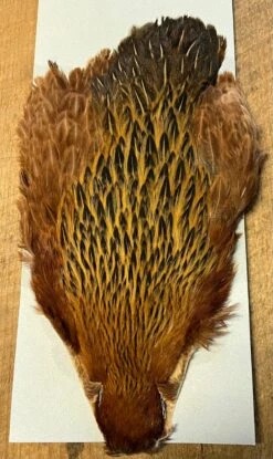 Keough Variant Hen Capes 14 Keough Variant Hen Capes -Fly Fishing Equipment Shop khc6