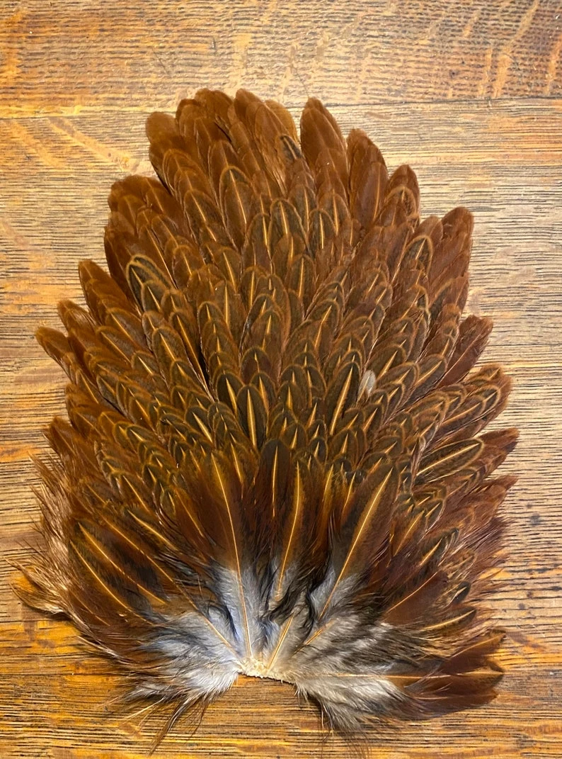 Keough Mottled Genetic Hen Backs 4 Keough Mottled Genetic Hen Backs - Image 2