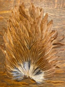 Keough Mottled Genetic Hen Backs 9 Keough Mottled Genetic Hen Backs -Fly Fishing Equipment Shop khs3