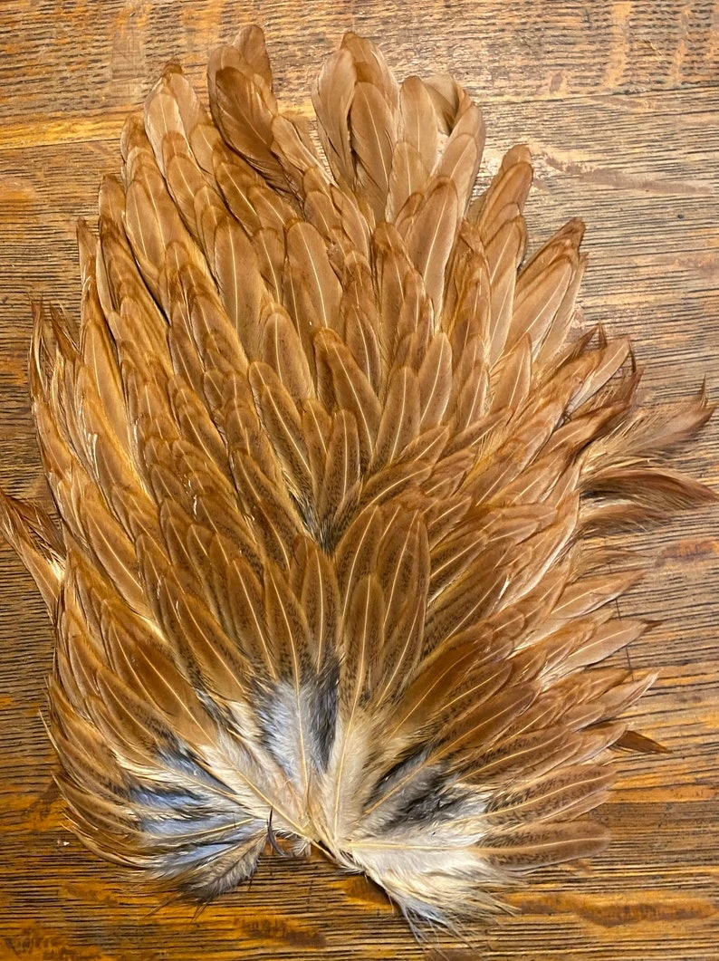 Keough Mottled Genetic Hen Backs 5 Keough Mottled Genetic Hen Backs - Image 3