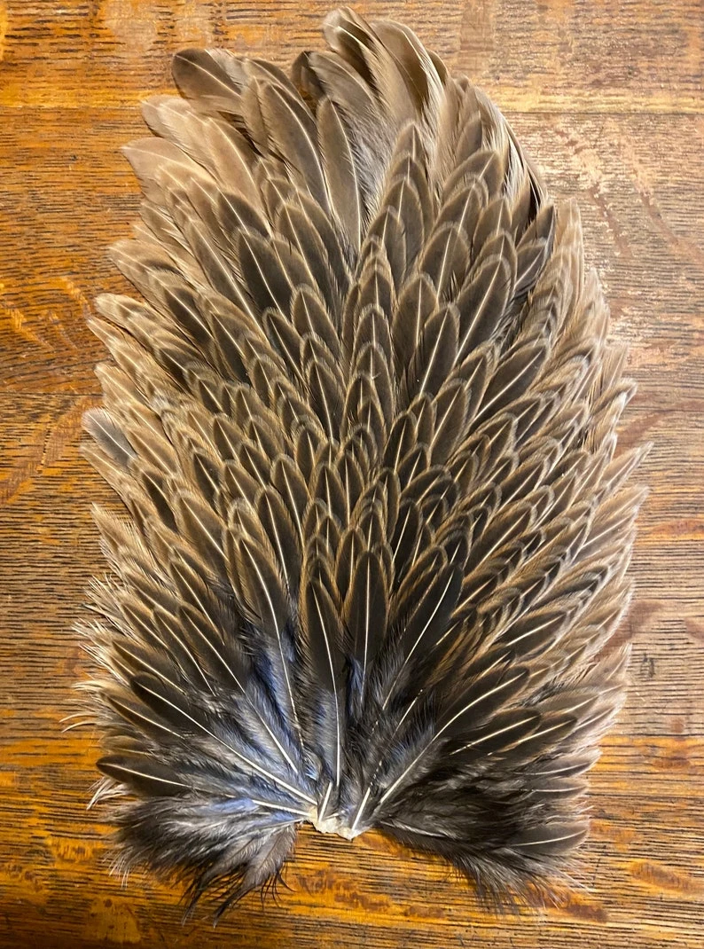 Keough Mottled Genetic Hen Backs 6 Keough Mottled Genetic Hen Backs - Image 4