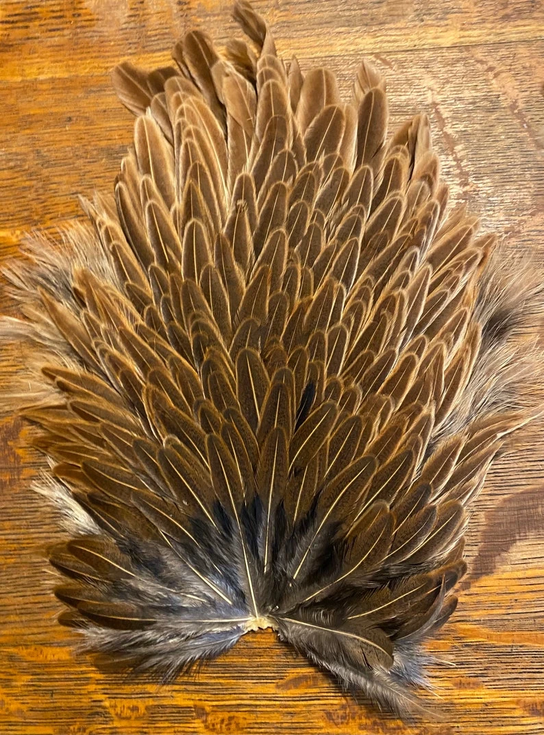 Keough Mottled Genetic Hen Backs 7 Keough Mottled Genetic Hen Backs - Image 5