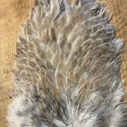 Keough Mottled Hen Gamechanger Saddles 16 Keough Mottled Hen Gamechanger Saddles -Fly Fishing Equipment Shop kmh5