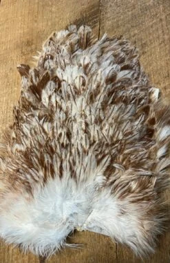 Keough Mottled Hen Gamechanger Saddles 18 Keough Mottled Hen Gamechanger Saddles -Fly Fishing Equipment Shop kmh7