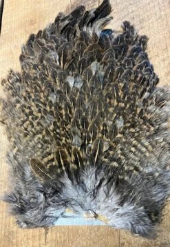 Keough Mottled Hen Gamechanger Saddles 19 Keough Mottled Hen Gamechanger Saddles -Fly Fishing Equipment Shop kmh8