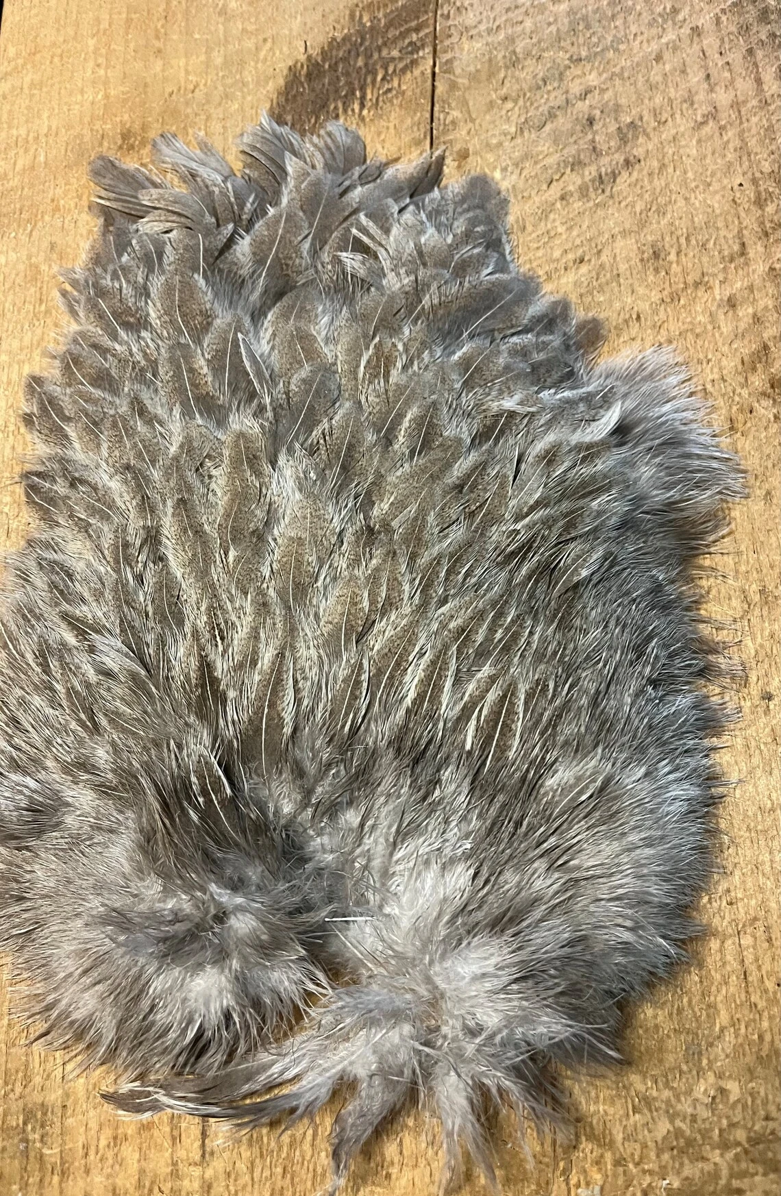 Keough Mottled Hen Gamechanger Saddles 11 Keough Mottled Hen Gamechanger Saddles - Image 9