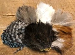 Natural Genetic Soft Hackle Patch