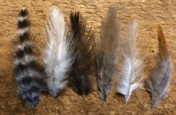 Natural Genetic Soft Hackle Patch 10 Natural Genetic Soft Hackle Patch -Fly Fishing Equipment Shop knee2