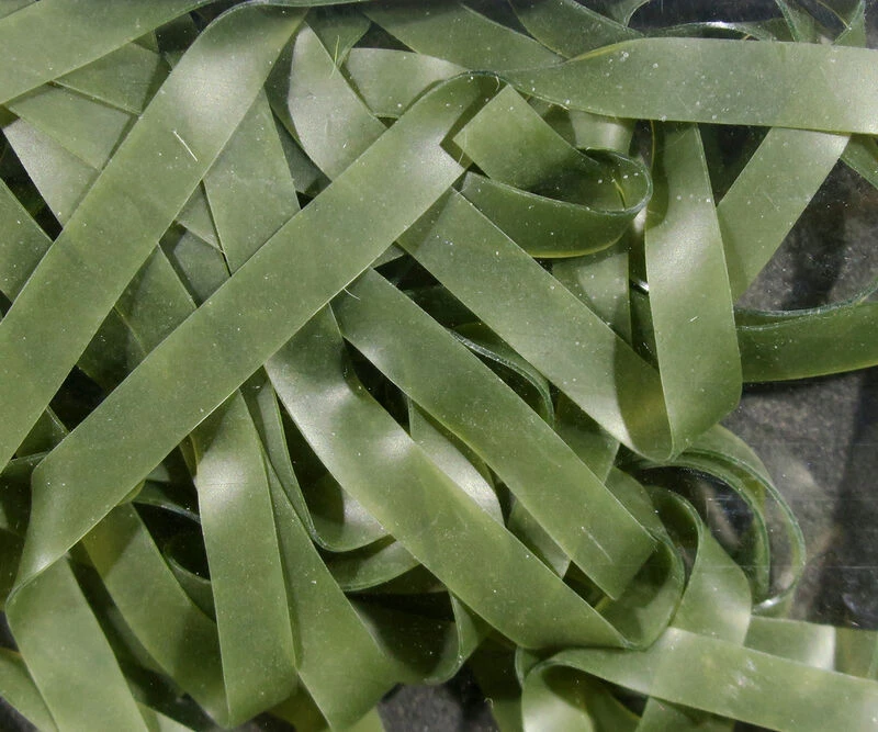 Kiley’s Nymph Skins ( AKA Split Latex ) 6 Kiley’s Nymph Skins ( AKA Split Latex ) - Image 4