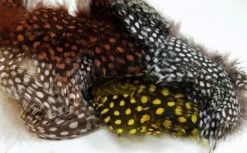 Nature’s Spirit Strung Large Dot Guinea Hen Hackle
