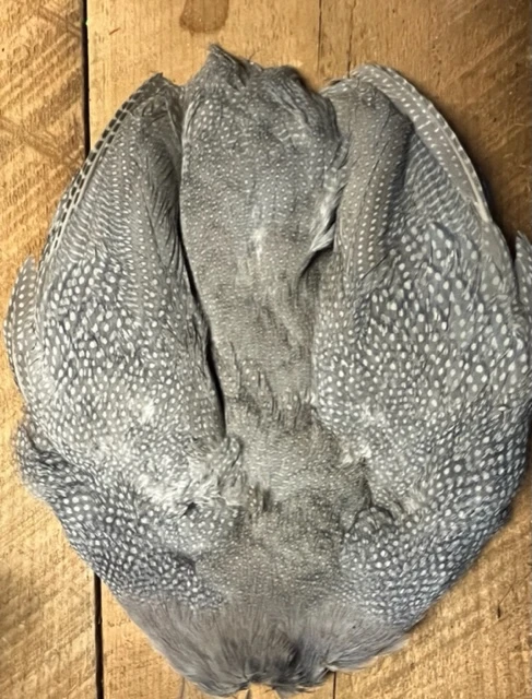 Lavender Guinea Hen Complete Skin 3 Lavender Guinea Hen Complete Skin