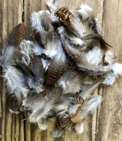 Red Grouse Hackle Packs
