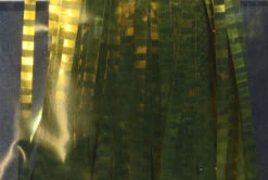 Lateral Scale Pearl, Solid, Mirage And Narrow 8 Lateral Scale Pearl, Solid, Mirage And Narrow -Fly Fishing Equipment Shop ls3