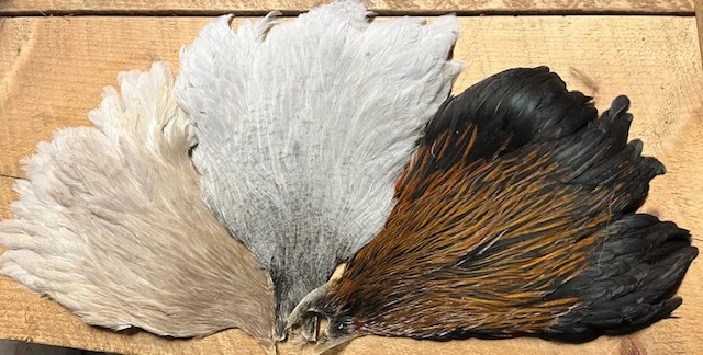 Metz Hen Capes 3 Metz Hen Capes