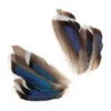 Mallard McGinty Wing Pairs 1 Mallard McGinty Wing Pairs -Fly Fishing Equipment Shop mcgintyq